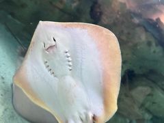 -珠海长隆海洋王国
