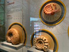 -湖南省地质博物馆