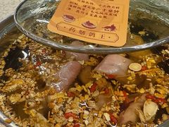 药膳乳鸽-百利鸽王(紫薇路店)