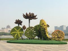 -莲花池公园