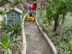 -南宫五洲植物乐园