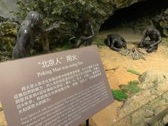 -北京周口店北京人遗址博物馆
