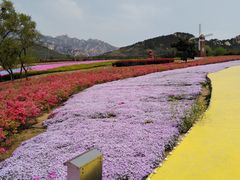 -西海岸生态观光园