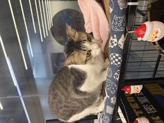 -谜盒子奇幻密室(南屏店)