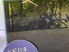-中国湿地博物馆