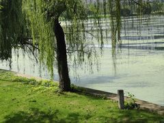 -金银湖国家城市湿地公园