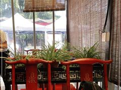 -先机泉水鸡汤(南山老君洞店)