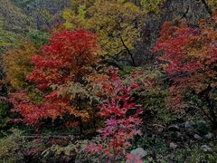 -大连天门山国家森林公园