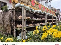 -新安江山水画廊风景区