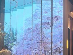 -桂满陇·海市蜃楼·黑金(国金店)