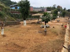 -泉州海丝野生动物世界