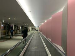 -中部国际机场