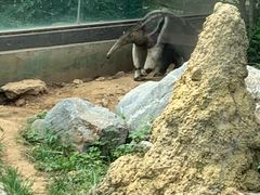 -济南野生动物世界