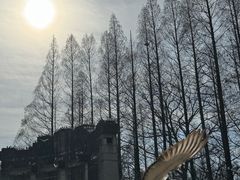 -音乐台
