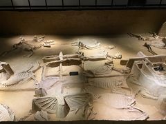 -洛阳周王城天子驾六博物馆