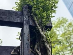 -钱江新城