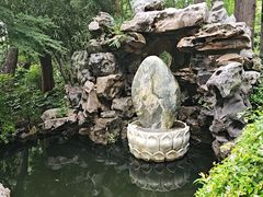-上海醉白池公园
