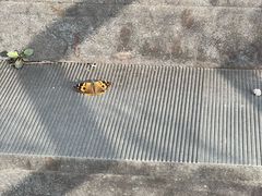 -江南天池