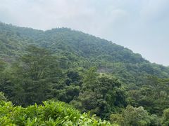 -火炉山森林公园