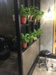 -时尚殿堂明星门店