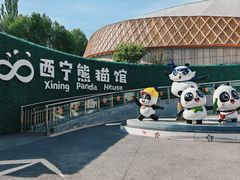 -青藏高原野生动物园