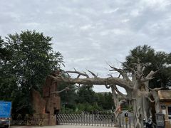 -红山国家森林公园