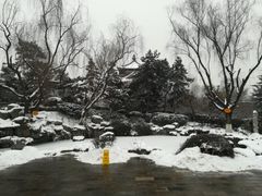 -西安青龙寺遗址景区