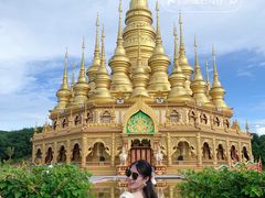 -西双版纳勐泐文化旅游区