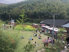 -宁波浙东大竹海景区