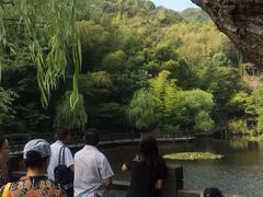 -桃花岛风景旅游区