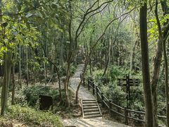 -上海佘山国家森林公园天马山园