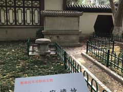 -郑和公园