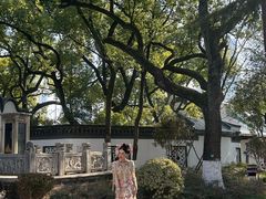 -古琴台