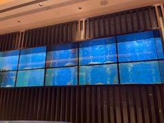 -珍宝海鲜JUMBO Seafood(尚嘉店)