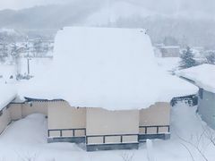 -蟹料理 北海道かに将軍(札幌本店)