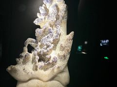 -深圳珠宝博物馆