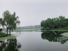 -东郊湿地公园