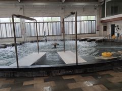 -南宫温泉水世界