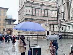 -圣母百花大教堂穹顶