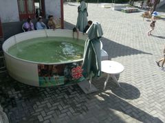 -汤峪温泉碧水湾