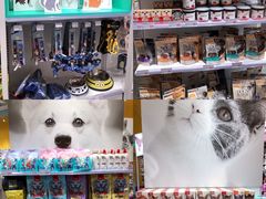 -KKV(深圳宏发大仟里店)