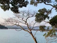 -广州市流溪河国家森林公园