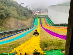 -梦幻奥陶纪景区