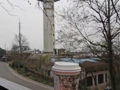 -茶颜悦色(岳麓山顶店)
