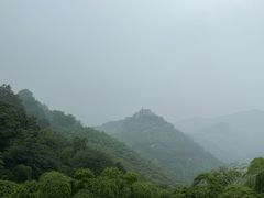 -莫干山风景区