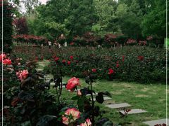 -贵阳市花溪国家城市湿地公园