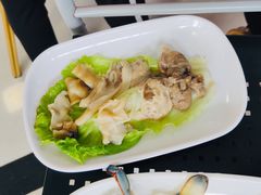 -蚝专家