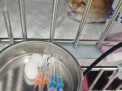-达爱动物医院·犬猫分区·CT·复杂眼科(远洋山水分院)