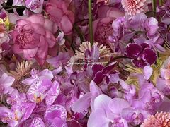 -三利音·浦之舟(滨江大道店)