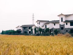 -桤木河湿地公园